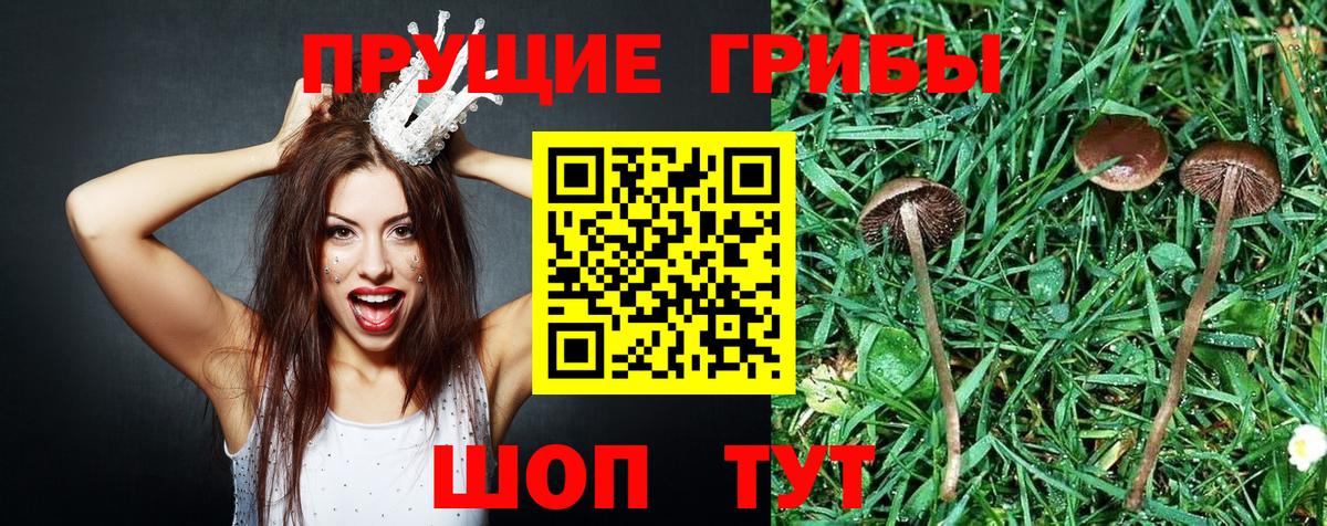 Псилоцибиновые грибы ЛСД Алексин